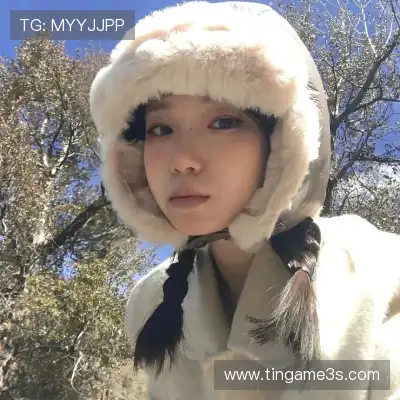 成歌舟 成歌舟